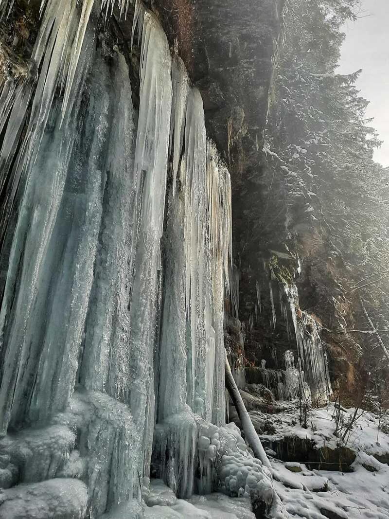 Котедж Кресаня Mykulychyn Esterno foto