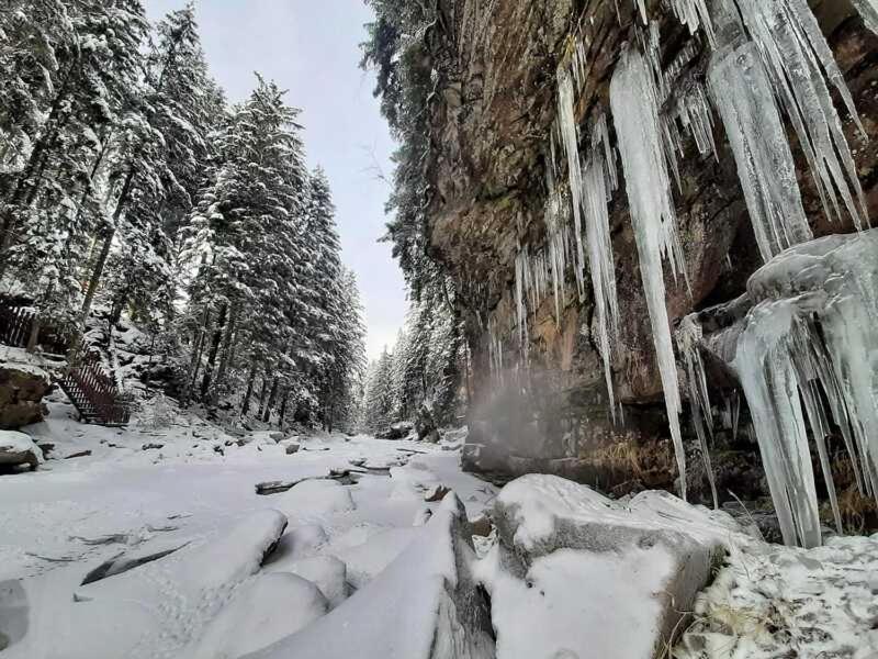 Котедж Кресаня Mykulychyn Esterno foto